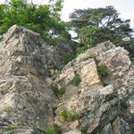 용문산 <b>산행</b>사진3