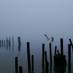 또 좀 올립<b>니더</b>예..!4