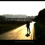 인라인 탄 풍경