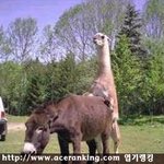 <b>니</b>들이 이런<b>짓</b>하면 안되지~