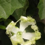 하늘<b>타리</b>