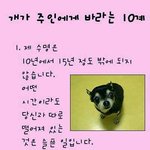 <b>개</b>가<b>주인</b>에게바라는점
