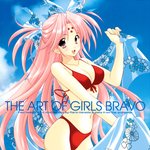 걸즈 브라보(<b>girls</b> bravo)