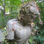 ♣♣♣  버려진 <b>불상</b> 위에도 단풍이 물들기 시작하네요.^^*♣♣♣