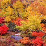 가을의햐기 우리나라금수<b>강산</b>