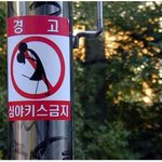<b>심야</b>키스금지구역