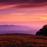 the <b>great</b> scenery