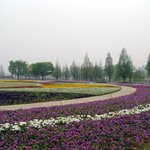 오랜만에 <b>올리</b>내예4