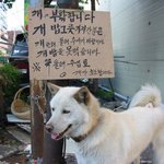 <b>웬만</b>하면 돌려주시지