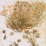 leonardo <b>da</b> vinci9