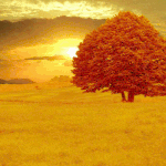 the <b>great</b> scenery