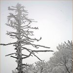 <b>영하</b> 30도 덕유산