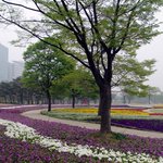 오랜만에 <b>올리</b>내예5