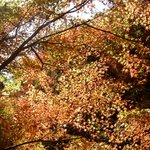 <b>예산</b> 금오산 - 3
