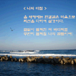 < 나의 <b>다짐</b> >