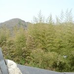 <b>보성</b> 천봉산 대원사 전경 -4