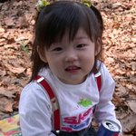 봄<b>낙엽</b>