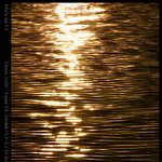 오늘 저 혼자만 <b>올리</b>내예27