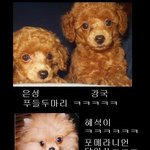 뉴하트 등장<b>인물</b> 동물 이미지