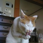 <b>호박</b>이가 아프답니다