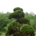 청계산  이수봉 &amp; <b>과천</b> 매봉 -1