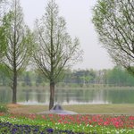 <b>꽃밭</b>