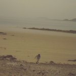 <b>안면</b>도 여행