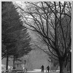 좋은 <b>사진</b> 올립니더<b>예</b> 3