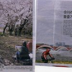 봄.봄.봄, 벗꽃 대 분수 <b>물줄기</b>