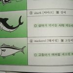 영어단어 <b>암기</b> 방법의 신개념