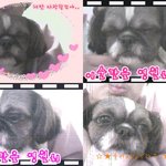 울<b>happy</b>.미용하구와서 찍은거에요.ㅎ