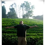 <b>보성</b> 차밭을 느껴보세요~