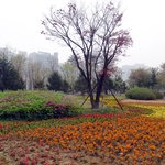 오랜만에 <b>올리</b>내예6