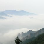 <b>안개</b>가 있는 풍경(13)