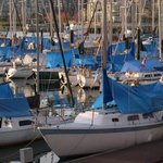 <b>blue</b>, <b>blue</b>!! (6)