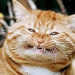 <b>눈</b> <b>밑</b>에 깔어~~