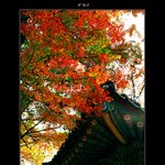 <b>처마</b>에 앉은