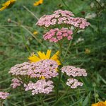 <b>포천</b> 뷰식물원7