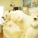 테디베어박물관-이완호영상/http://dreamgallery.<b>org</b>