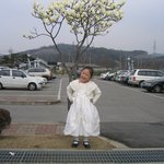 <b>목련</b> 아가씨