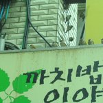 겁없는 참새들
