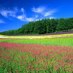 배경<b>화면</b>으로 강추