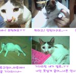 사진<b>찍기</b> 싫어라~~