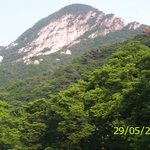 계 <b>룡</b>산