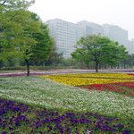 오랜만에 <b>올리</b>내예7