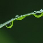 빗방울 <b>속</b>의 <b>세상</b>