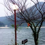 <b>양평</b>의 강가 풍경