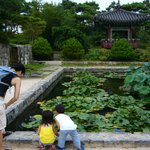 <b>일산</b>호수공원