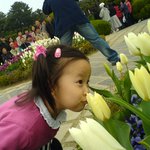 <b>외도</b>의 봄