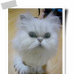 숙이의 <b>일과</b>